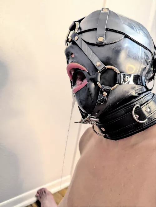 Master gave me a gift