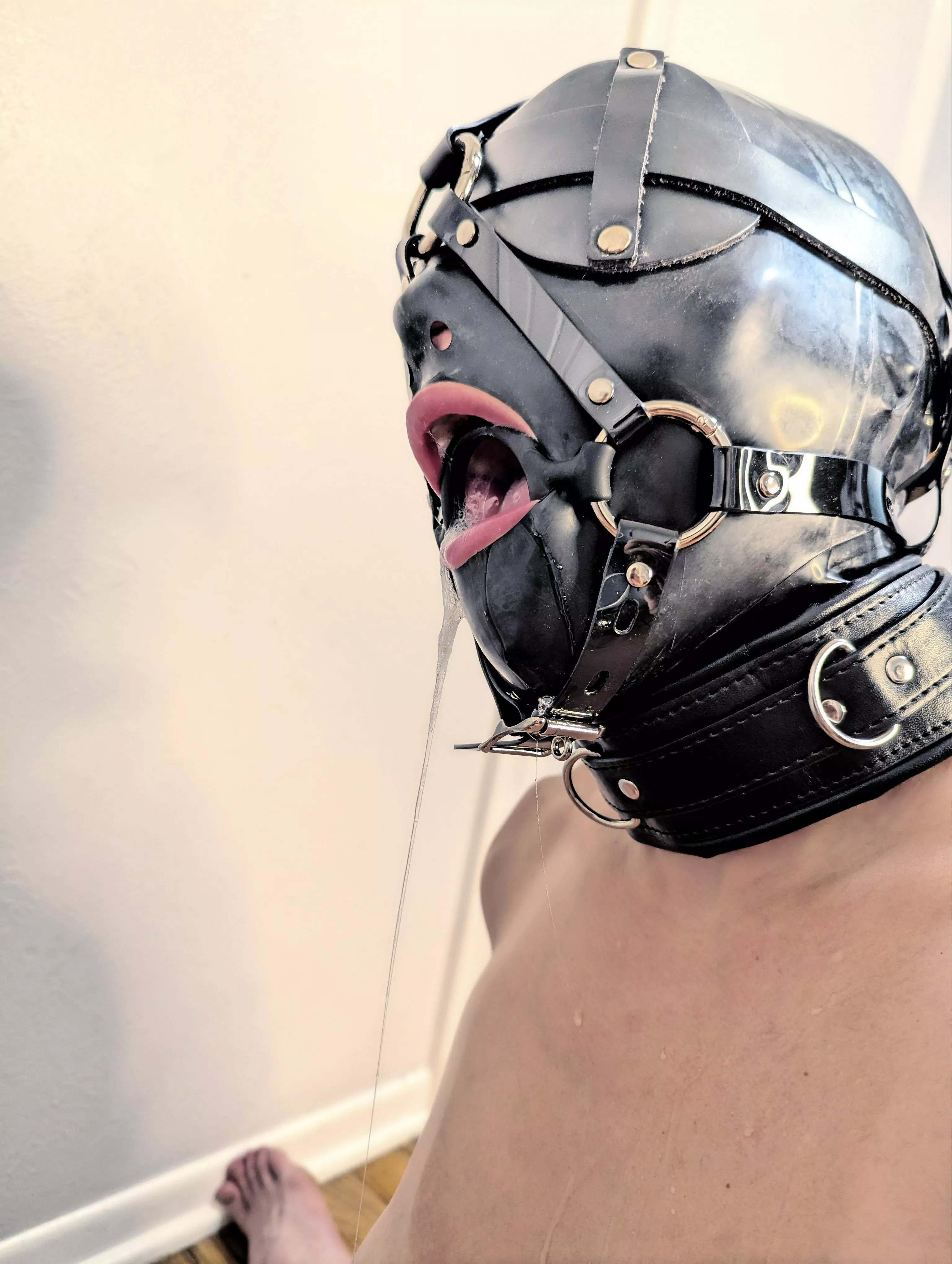 Master gave me a gift