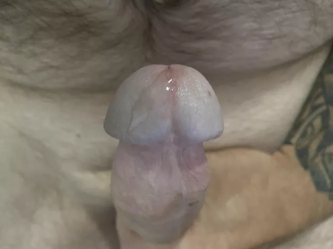 43 bi married guy Indiana 