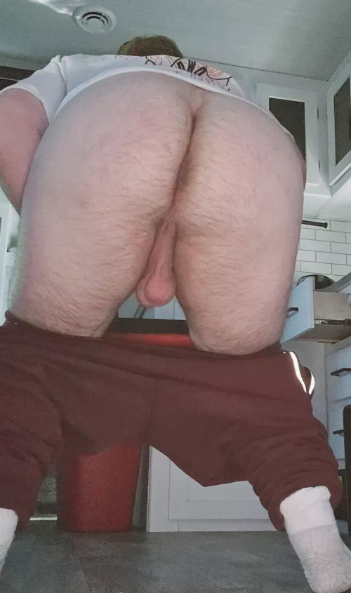 Hairy bear 🐻 Age: [27]