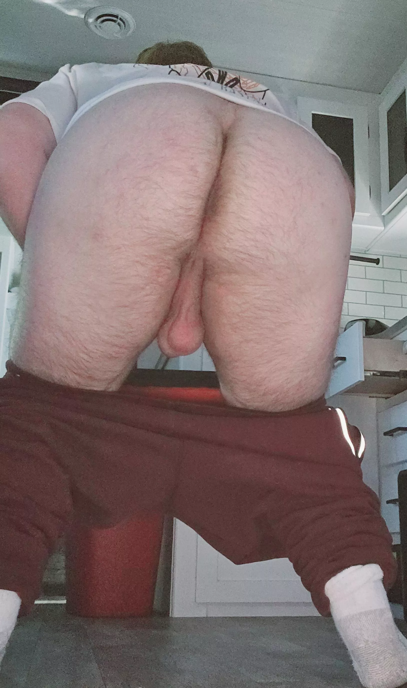 Hairy bear 🐻 Age: [27]