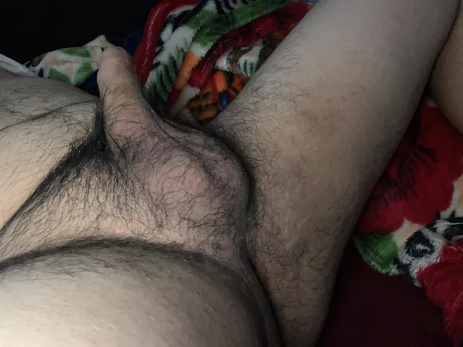 kinky Hairy cub in SoCal looking for genuine bros my age or older for a connection and open for more. Let’s talk and get to know each other.