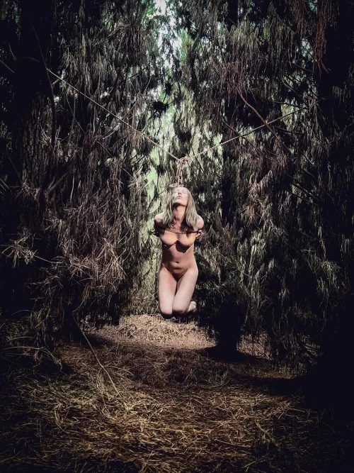 Late afternoon on a wintry day, he led me into a pine forest and took my breath away.