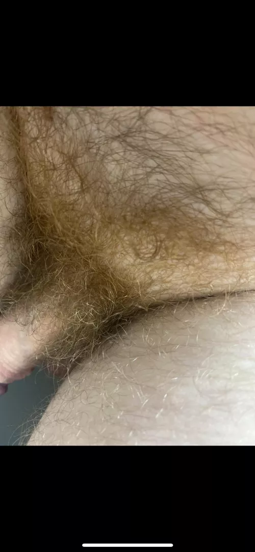 Never posted here before thought I’d give it a shot.