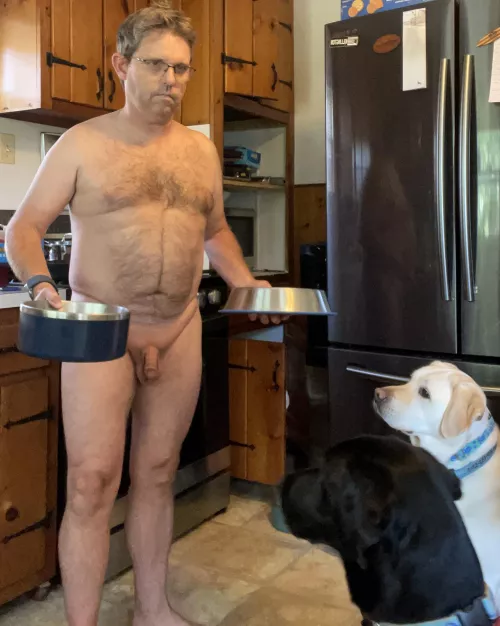 Trying to work from home and the dogs wanted to be fed early so I caved.