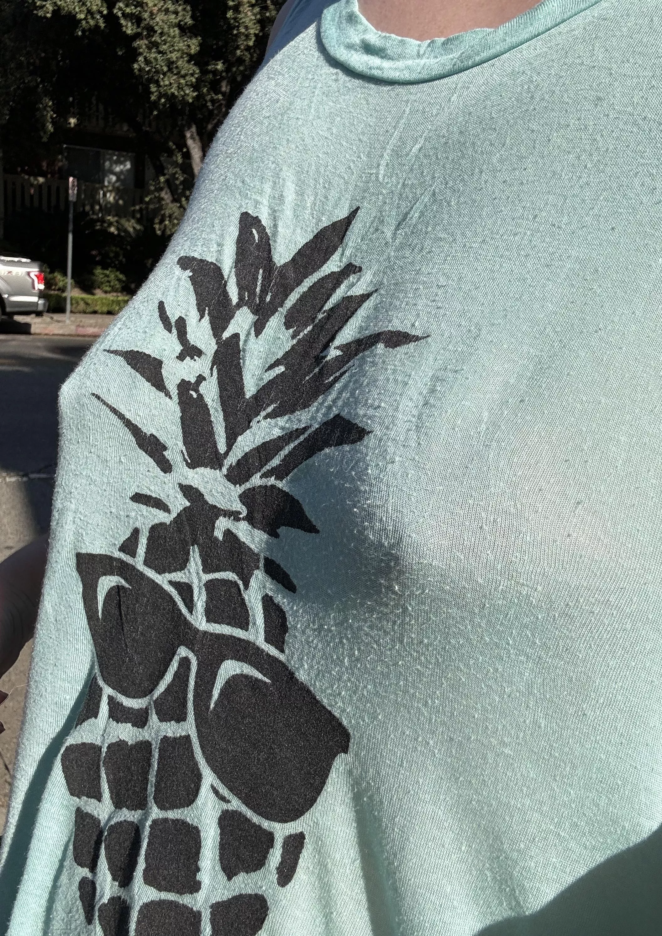 A pineapple a day keeps the doctor away…or something like that 