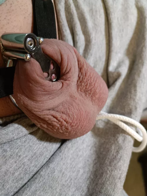 Any good shaving alternative?