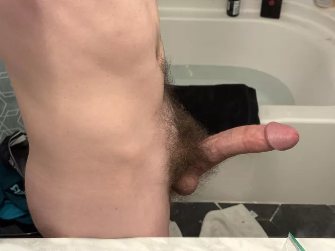 Dad said my cocks big, what do you thinks? 
