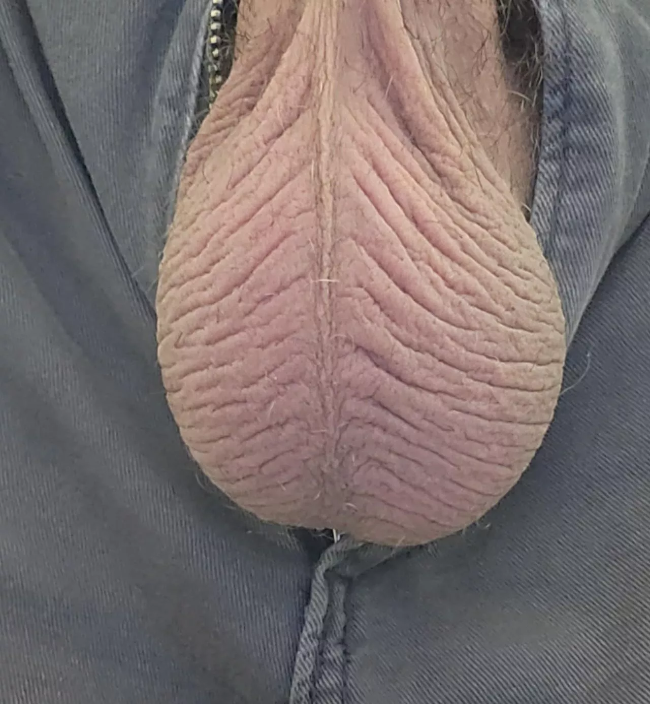 First time poster. How do I look? 