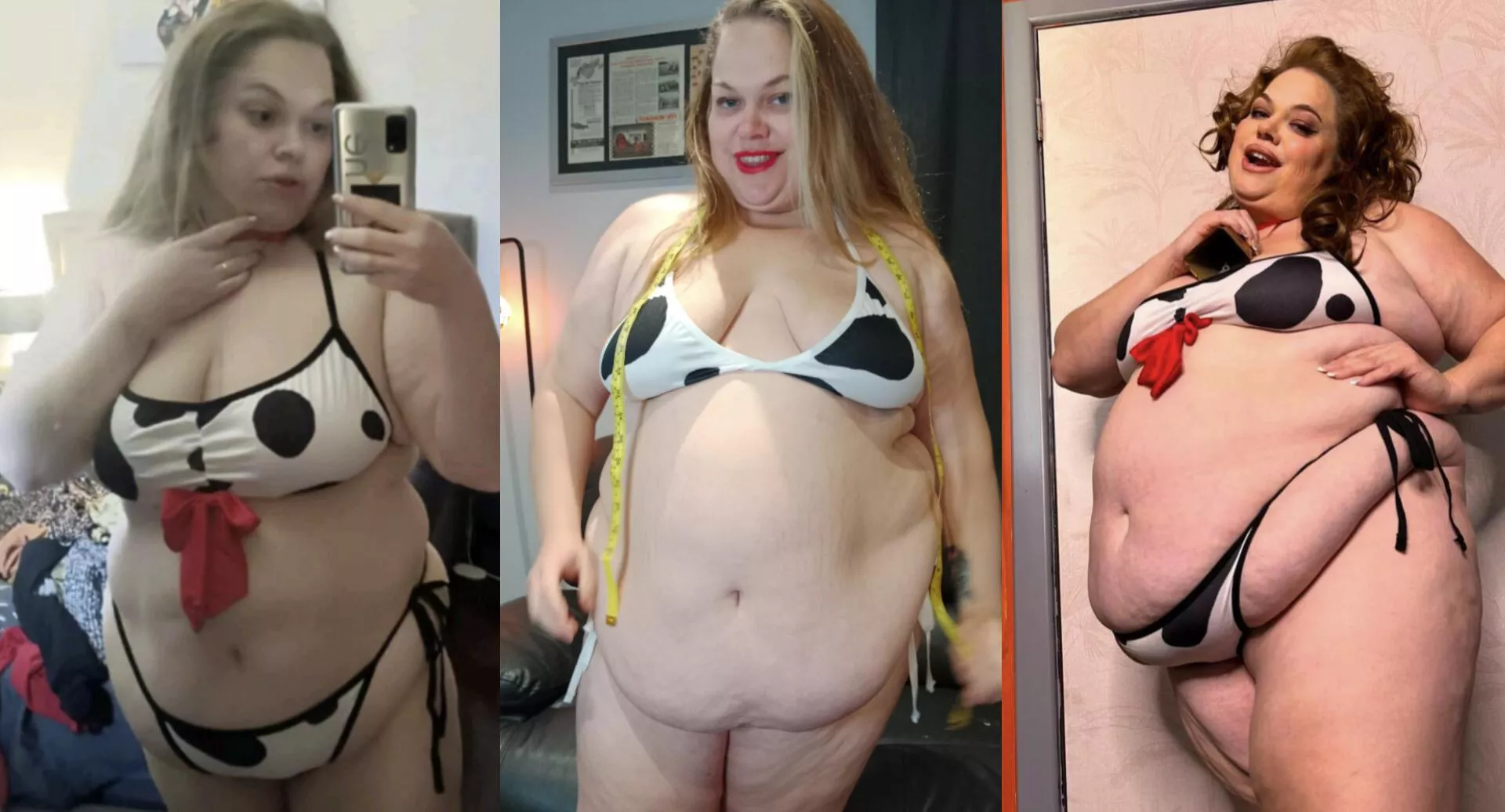 From little heifer to fat breeding cow 