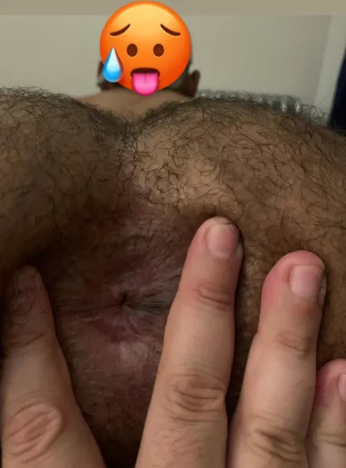 how’s my freshly tongue fucked hairy hole?