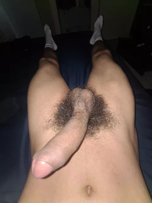 I'm glad there are people who like bush