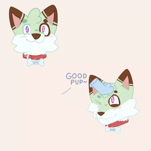 Indulging in some nefarious activities 🐶