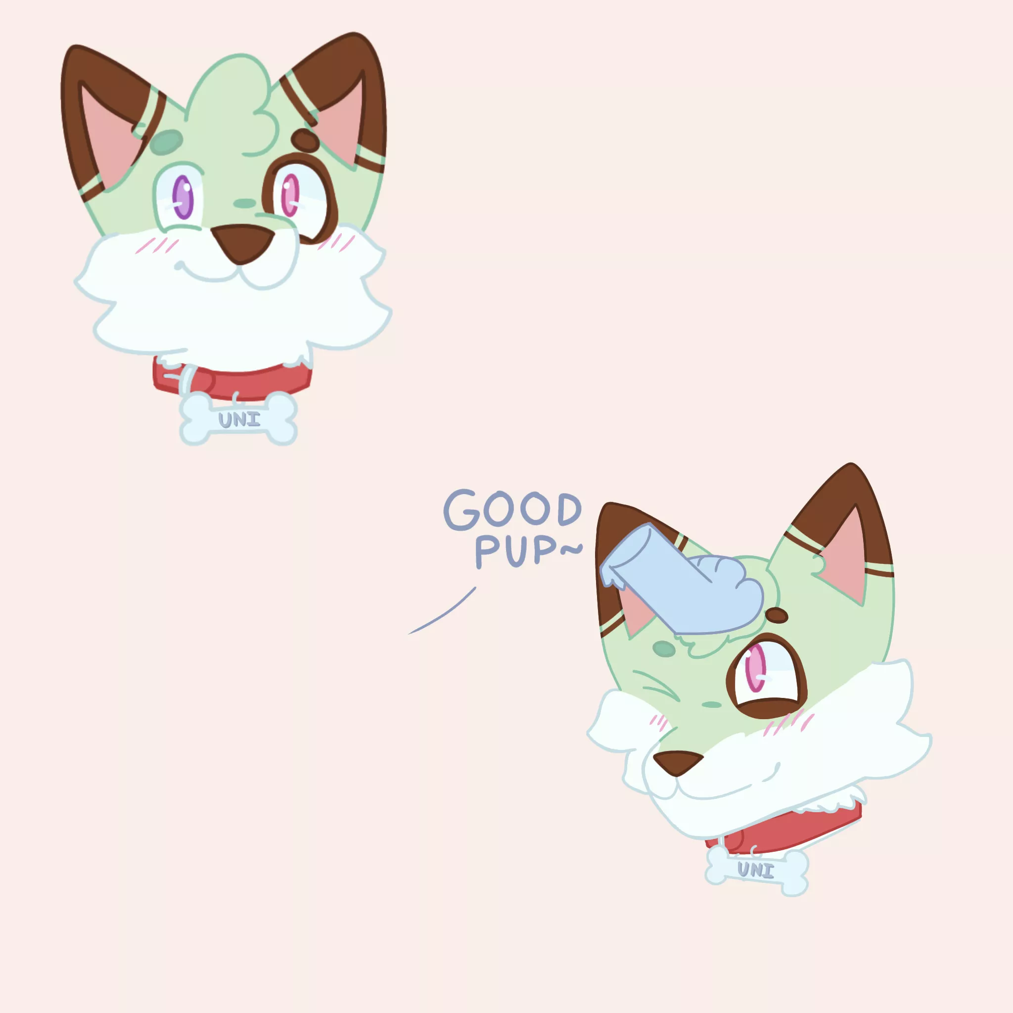 Indulging in some nefarious activities 🐶