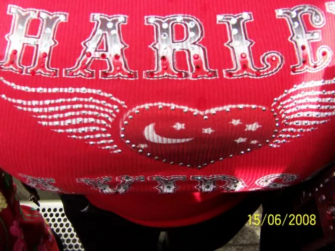 We know what's under there!