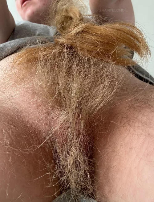 Welcome to the jungle