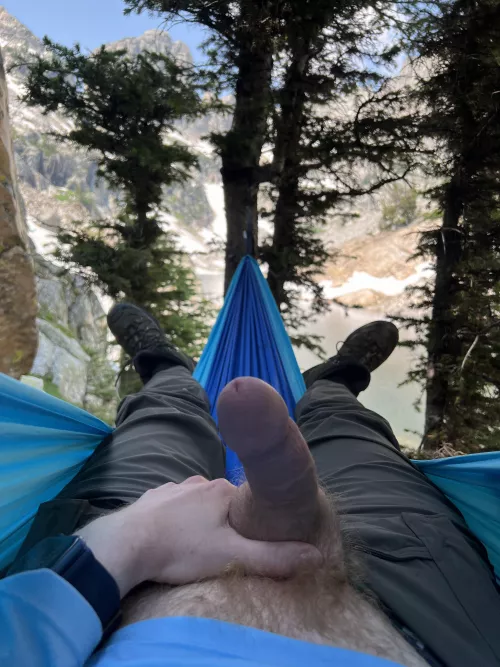 Who doesn’t love wild national park cock