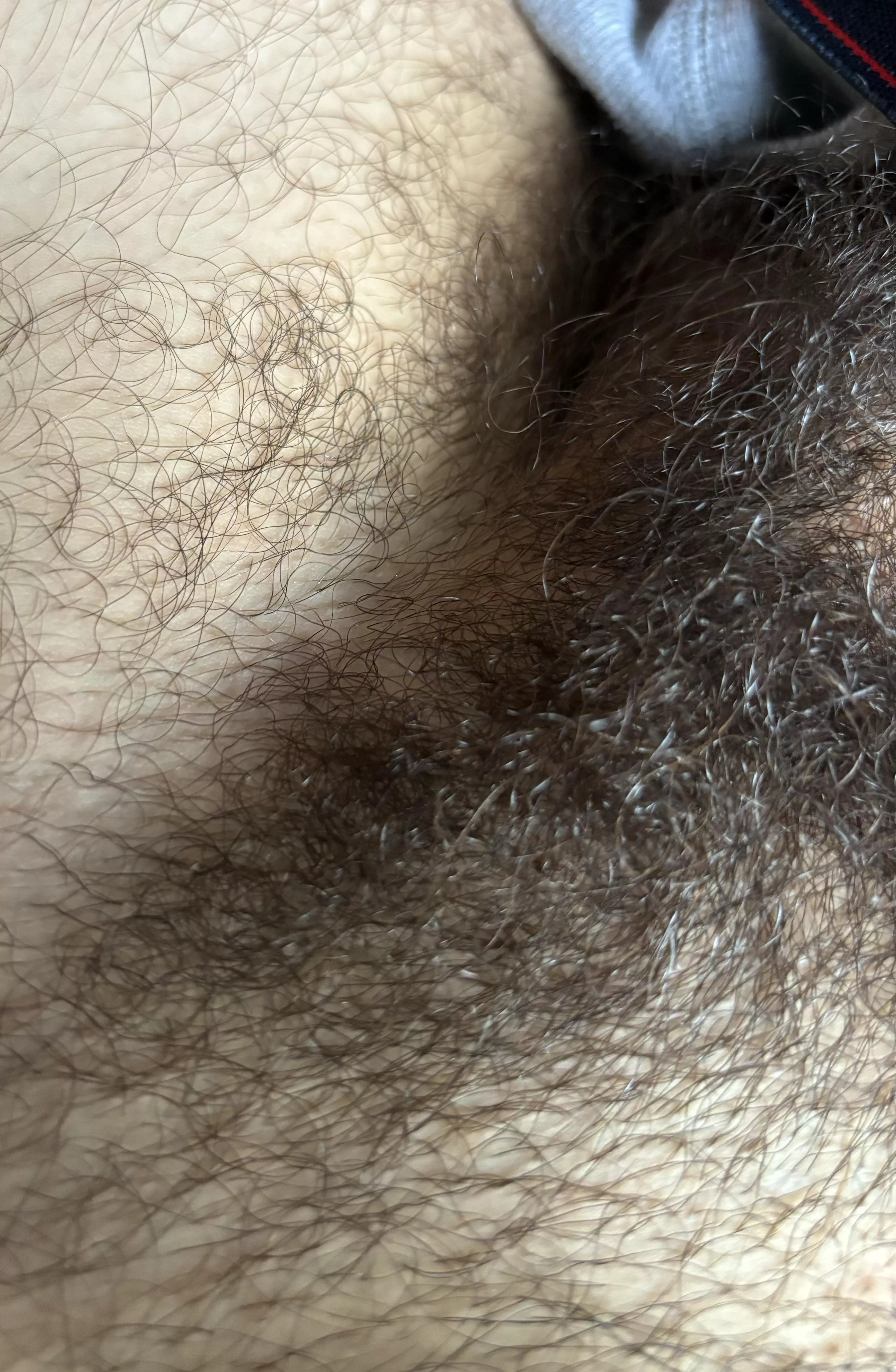 who likes the bush