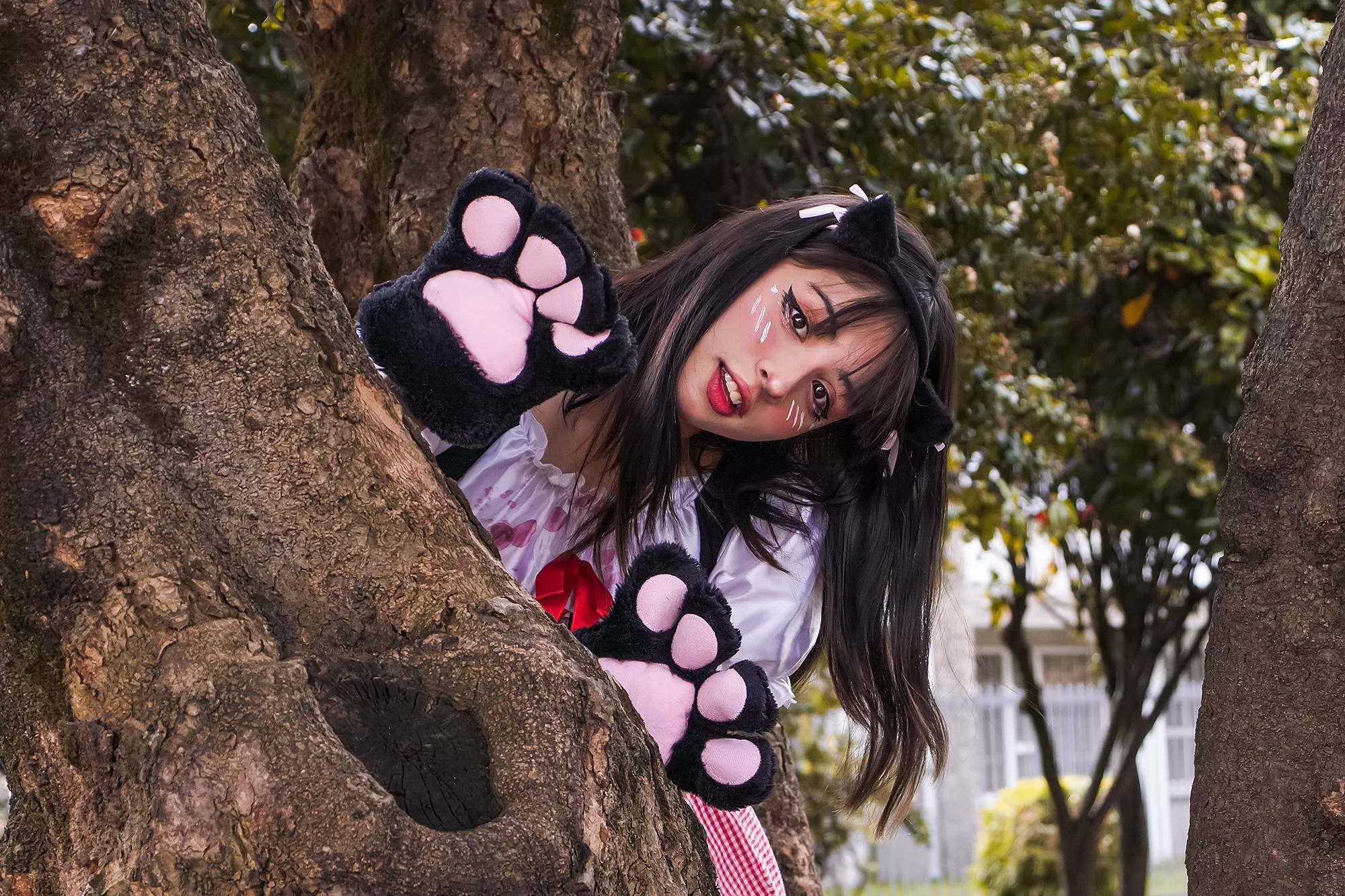 Catgirl stuck on a tree, first to clim and save me get a special reward! 