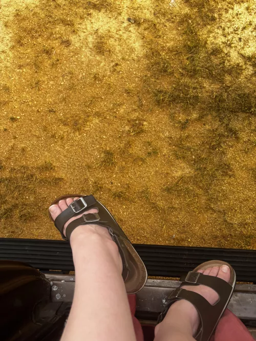 Do you like sandals? “Oc”