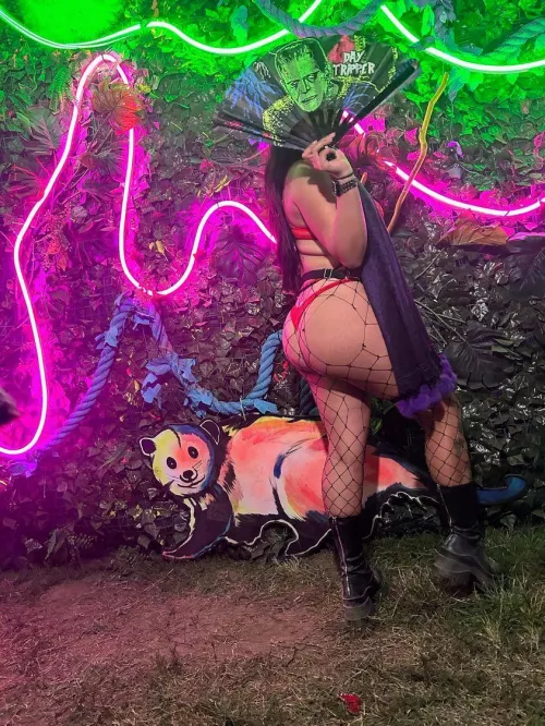 New account! Nocturnal 2023!