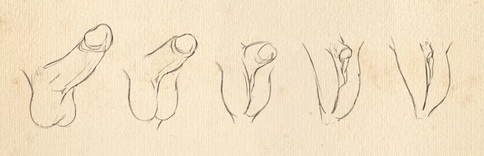 Penis to Vagina - by StrawberryTFs