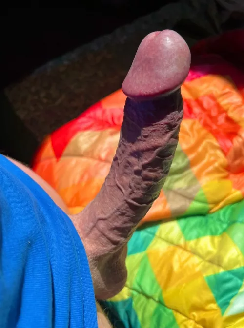 Promise.. i will just put the tip inside you..