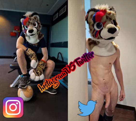 Ziggy on Instagram vs Ziggy on Twitter, what's your preference?