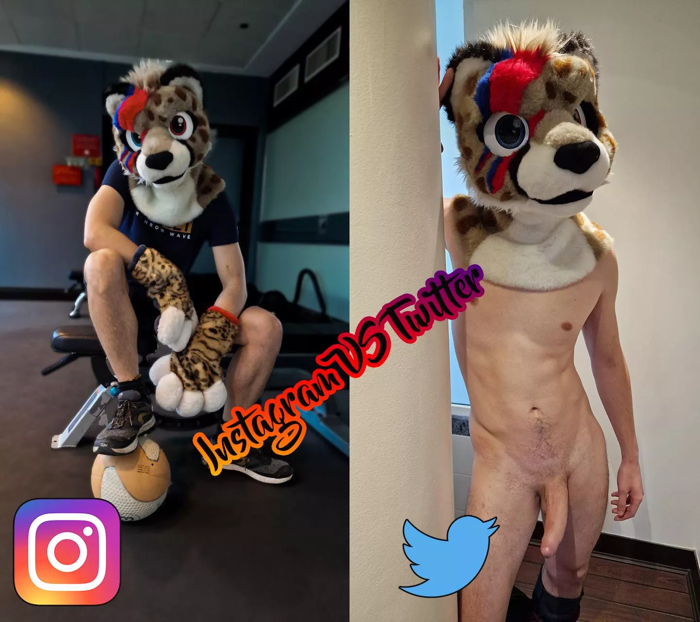 Ziggy on Instagram vs Ziggy on Twitter, what's your preference?