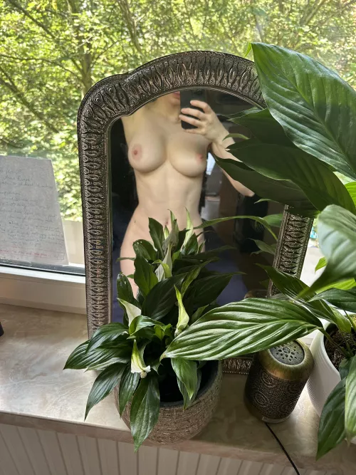 Are you just gonna stare at them?