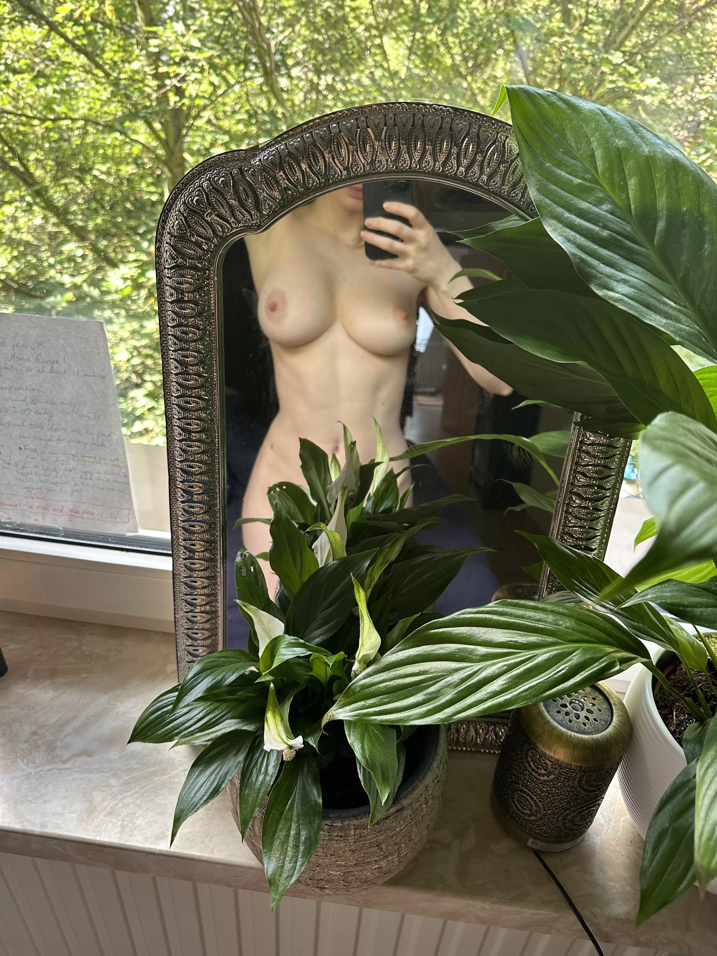 Are you just gonna stare at them?