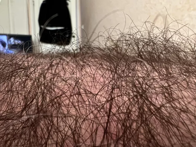 Hairy chest close up