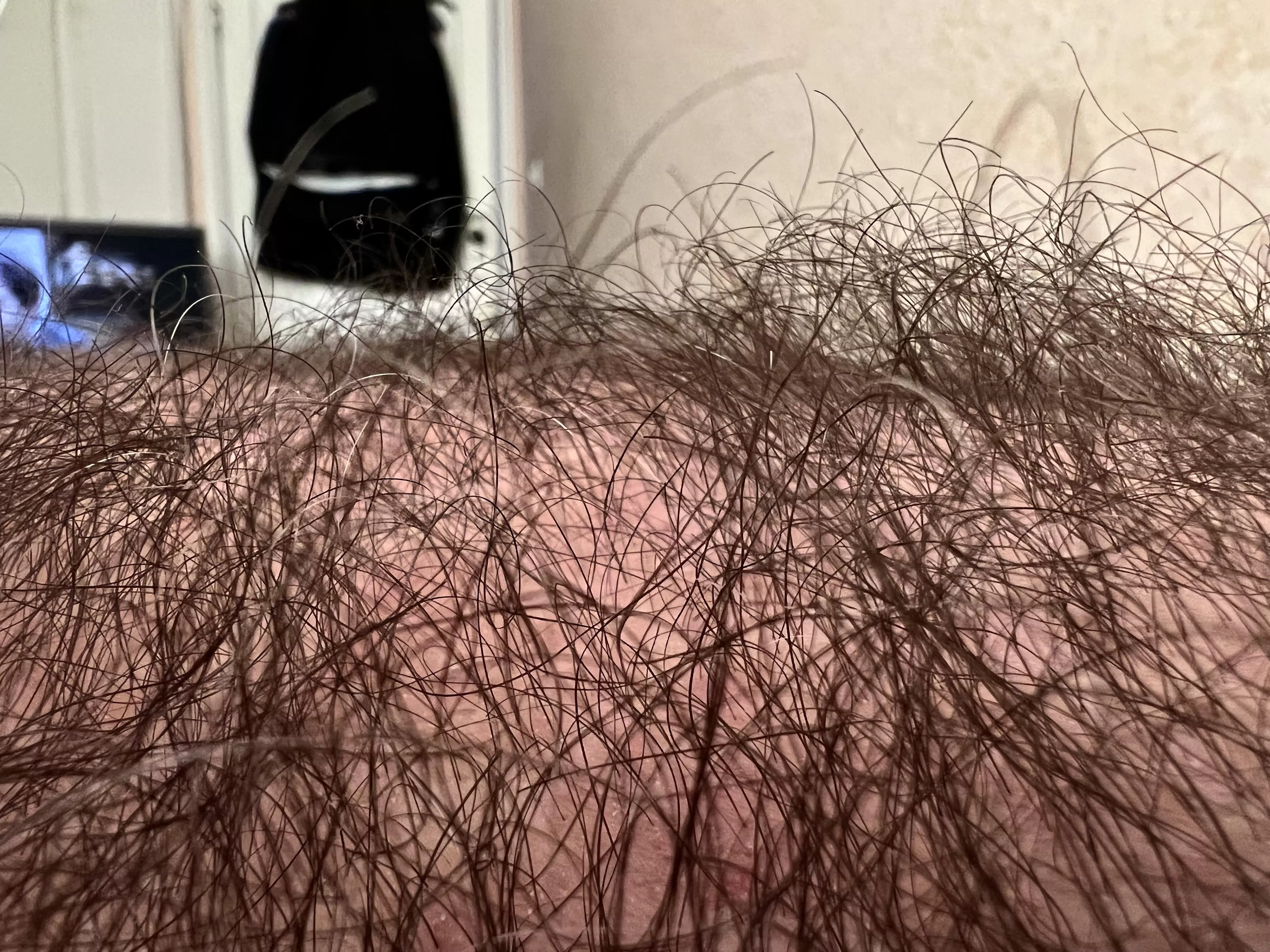 Hairy chest close up