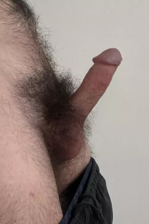 I think this bush qualifies 