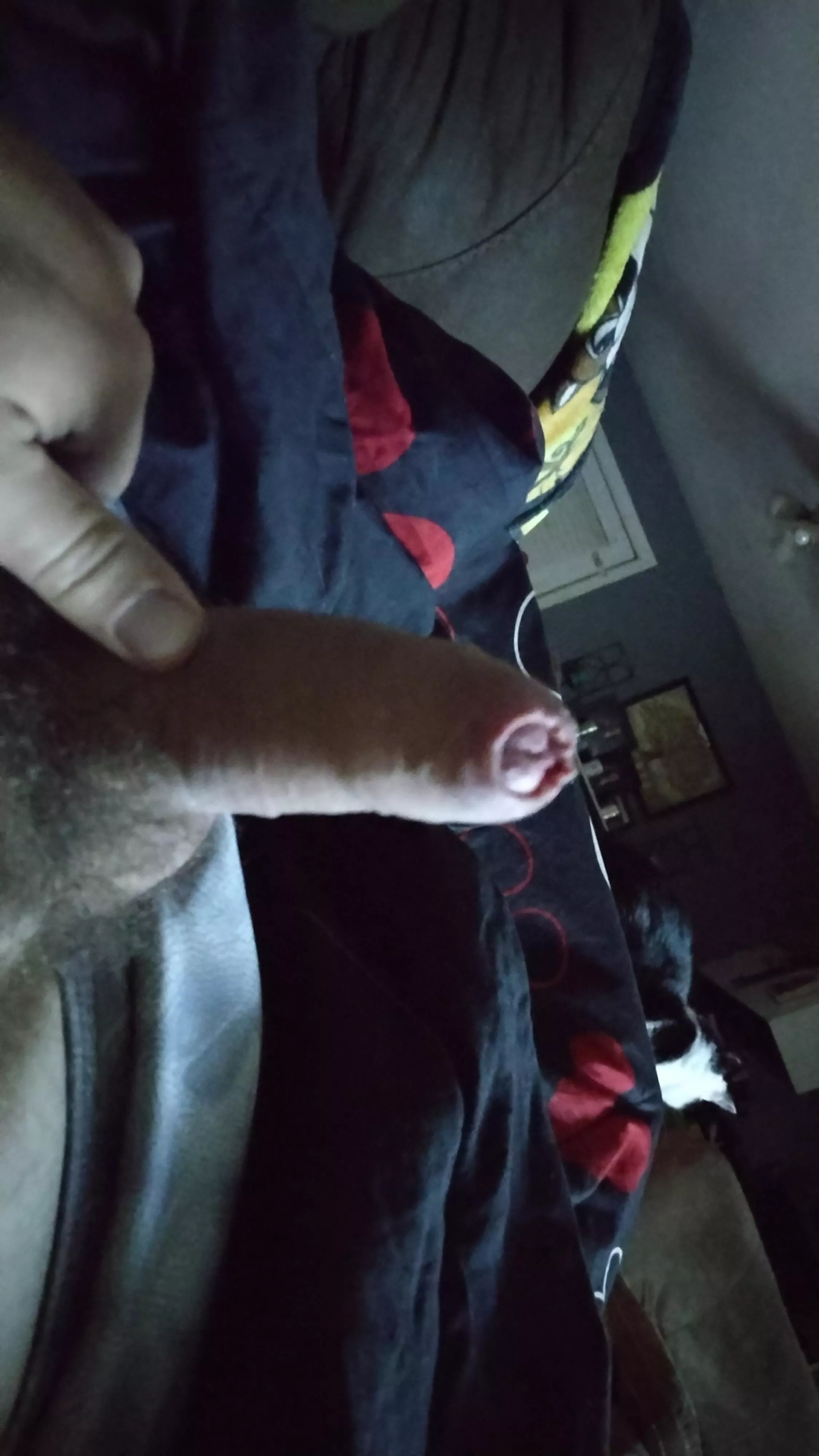 Let's lay on bed all day sucking each other