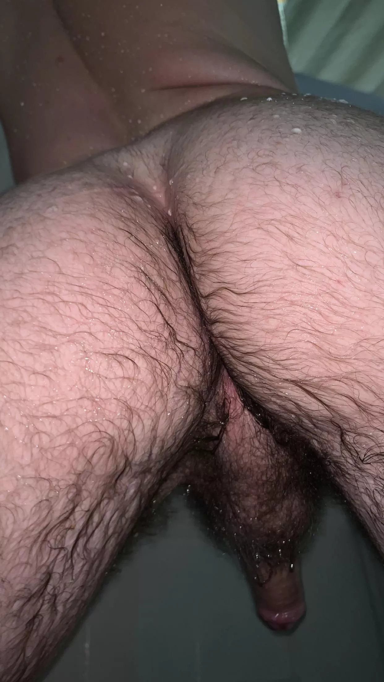 My hairy ass from the shower ;)