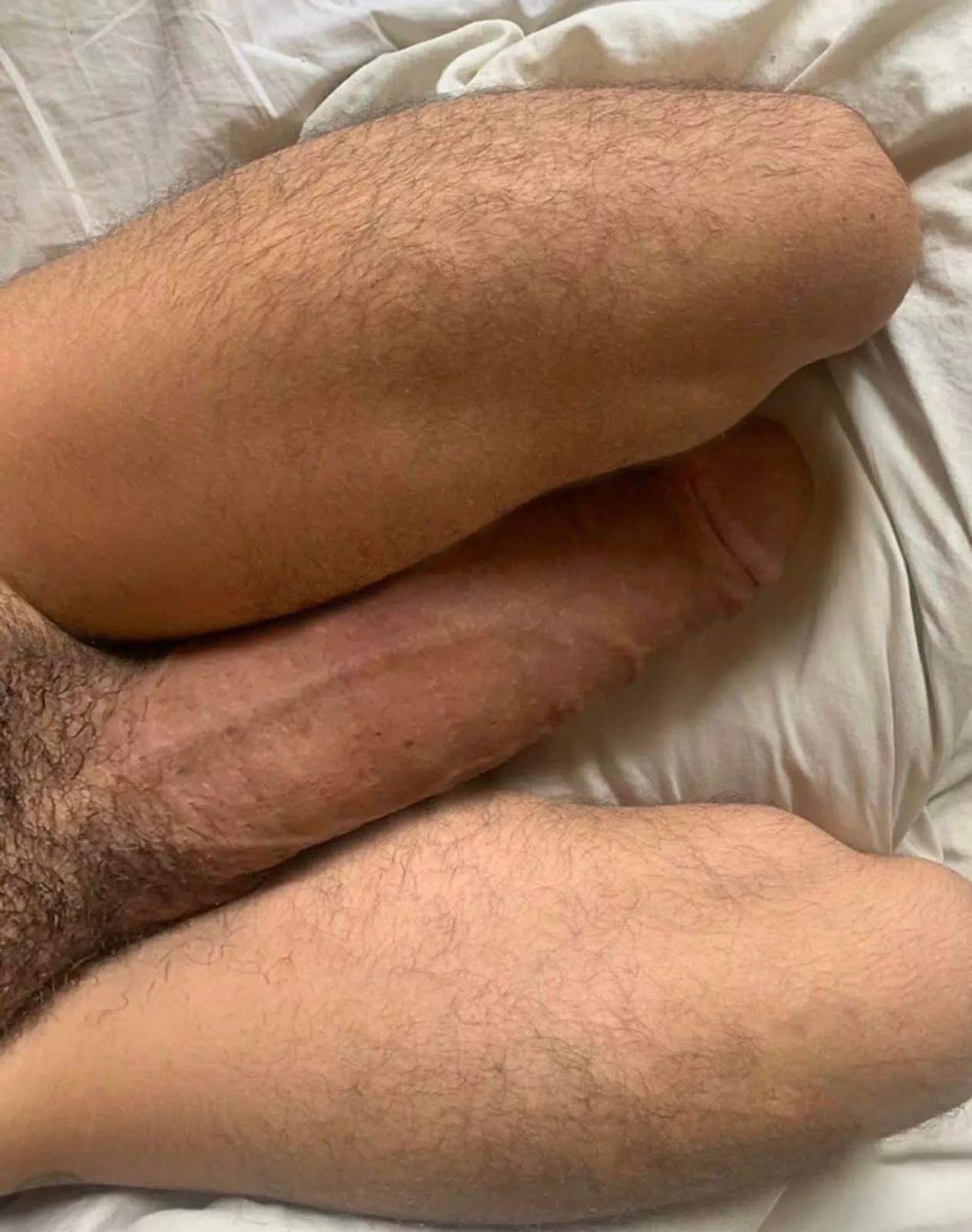 My hairy legs or my huge cock [22]