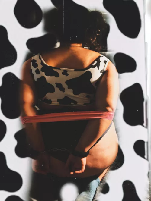 New hucow tied and captured….