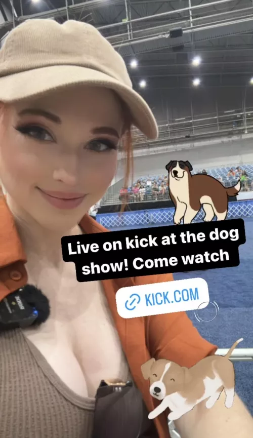 SHE'S LIVE RIGHT NOW AT THE DOG SHOW! - KICK.COM/AMOURANTH 