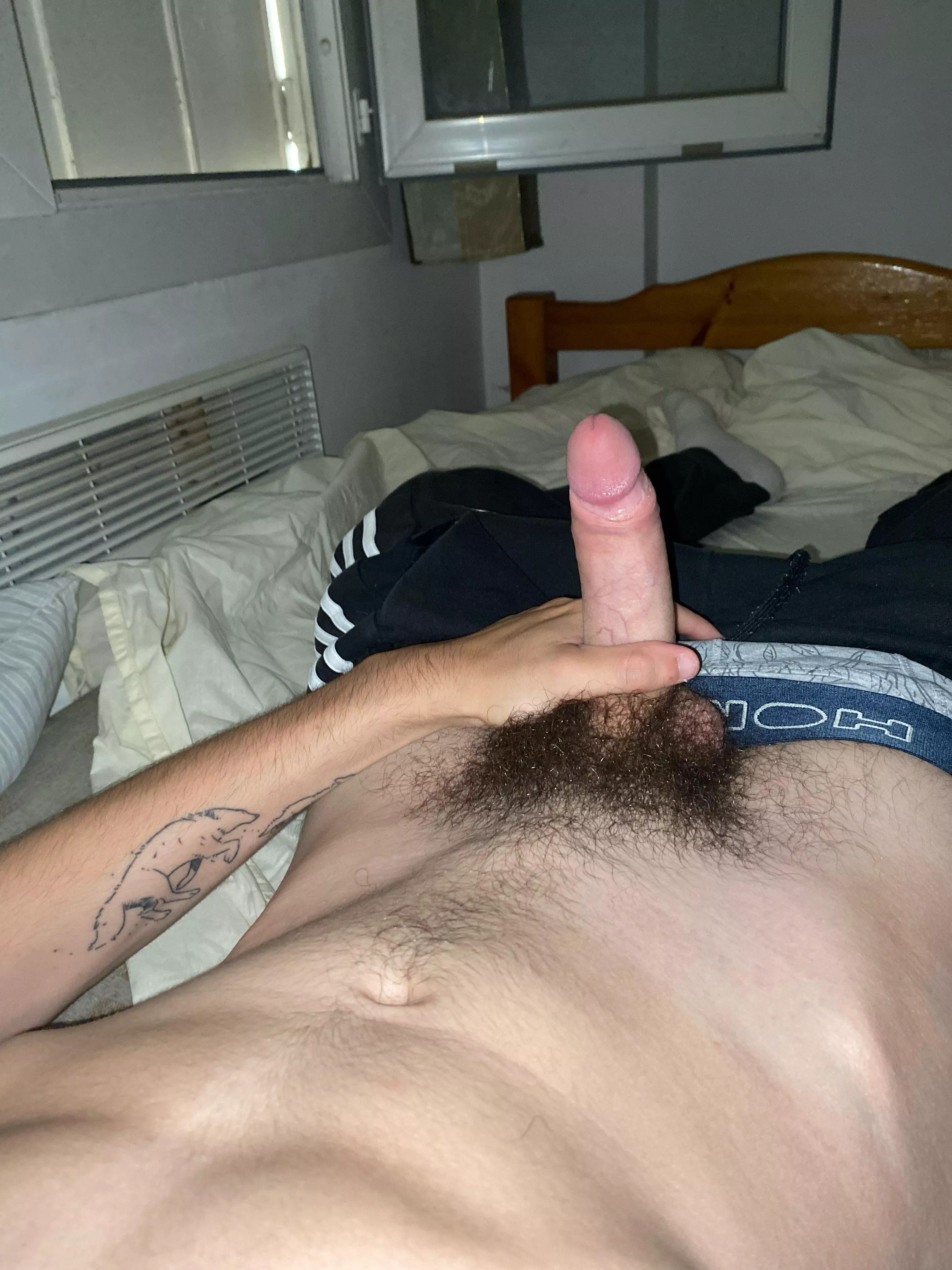 26 sc joho2611 need some hairy bros