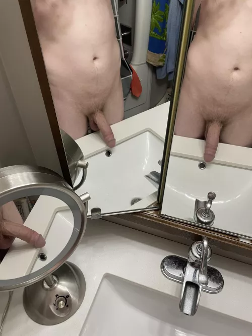 Dick from different angles