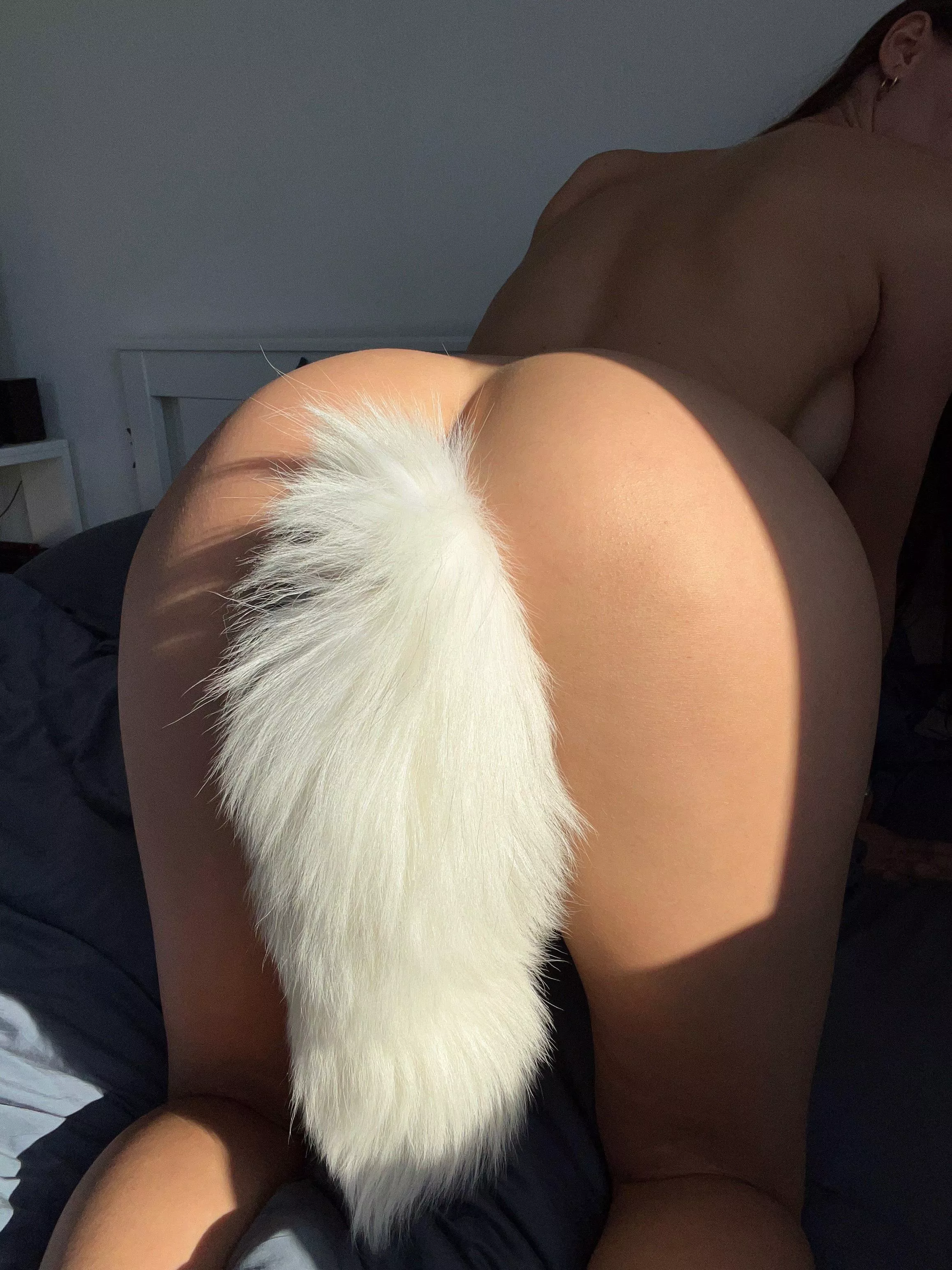 Showing off my favorite foxy tail plug