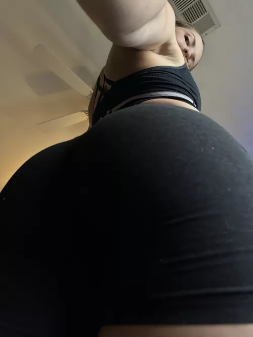 your view before I take a seat on your face for a bit