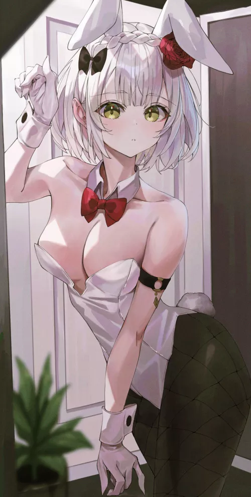 Bunny Noelle [Genshin Impact]