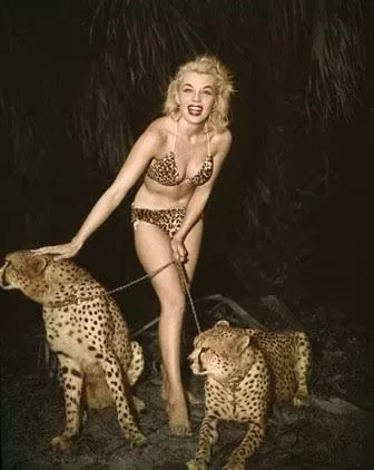 Bunny Yeager with cheetahs