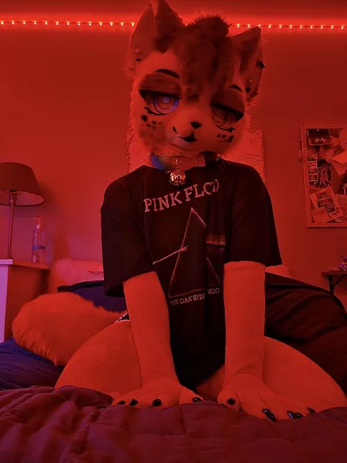 Do you listen to Pink Floyd? ❤️