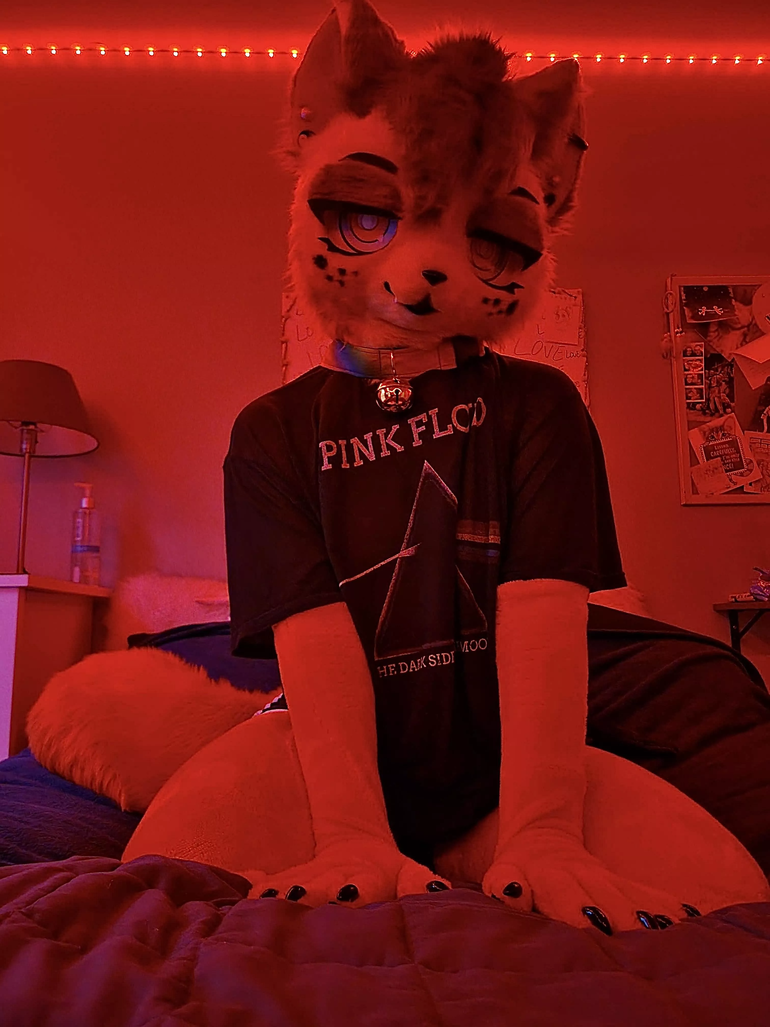 Do you listen to Pink Floyd? ❤️