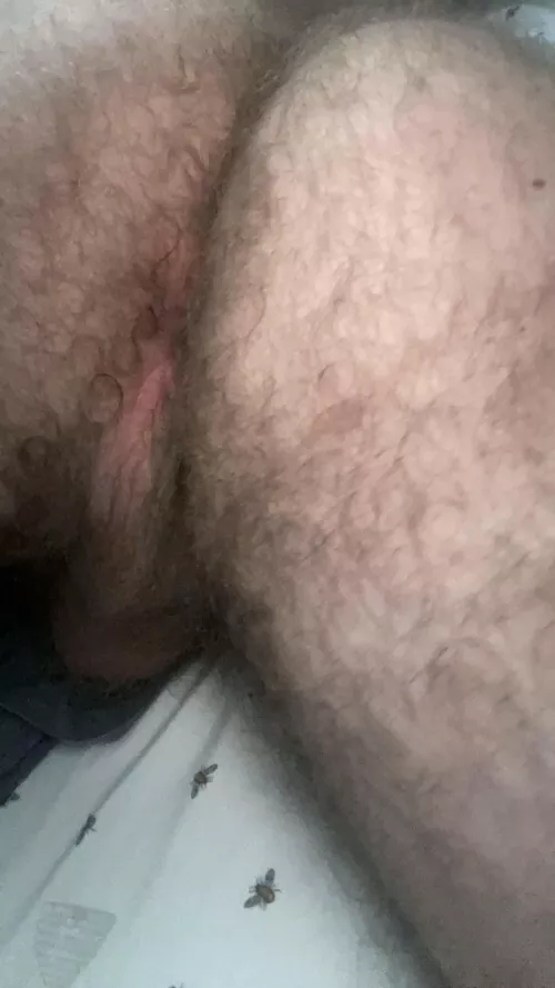 Just a hung British otter with a tight pink hairy hole😉