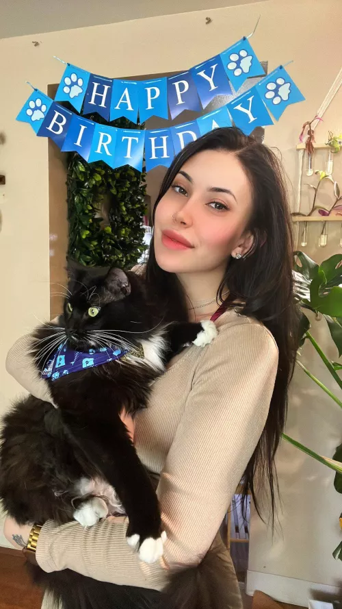 Korean x Japanese x Italian