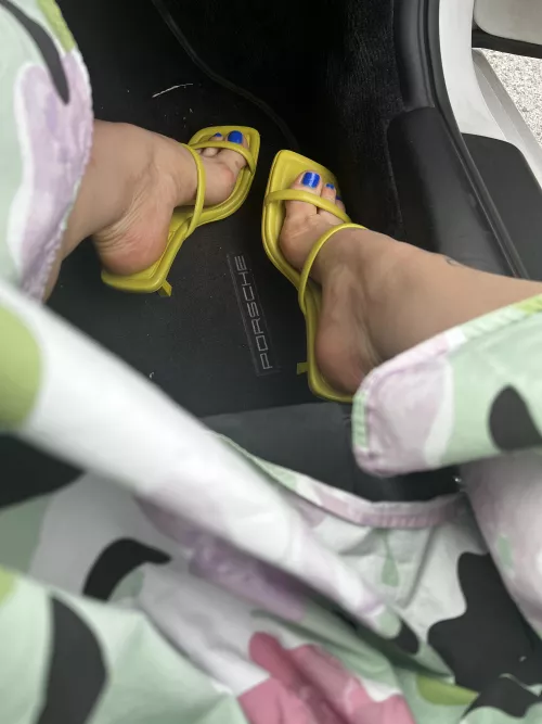 Lime 🍋‍🟩 mood